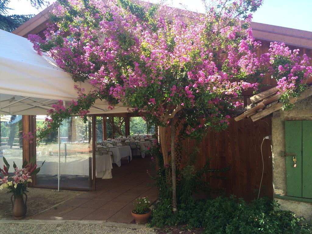 Agriturismo Ristorante Albachiara Villa Carpeneto Buitenkant foto